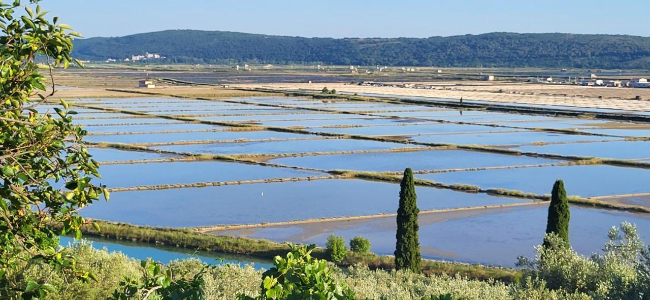Apartment Salt Pans View Portorose Esterno foto