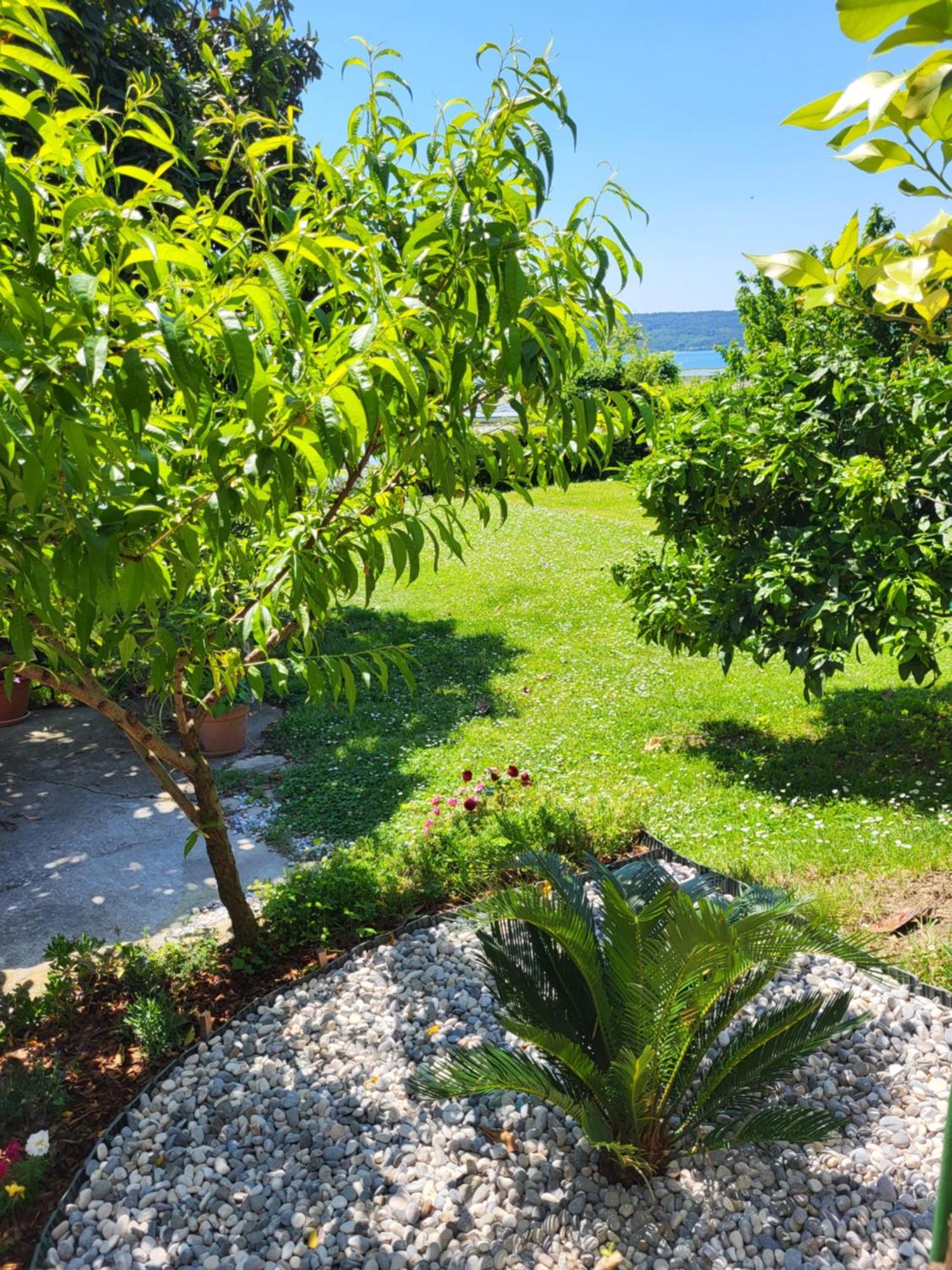 Apartment Salt Pans View Portorose Esterno foto